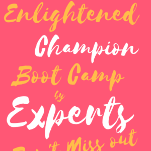 Enlightened Champion Boot Camp